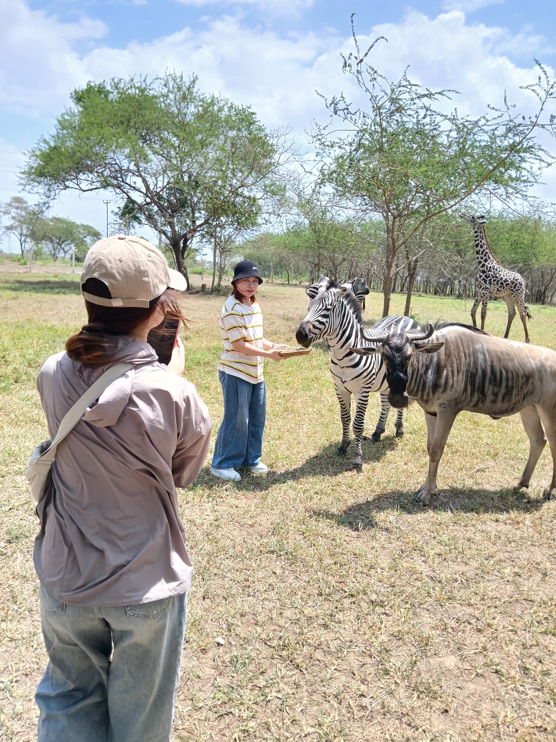 Safari and Zanzibar